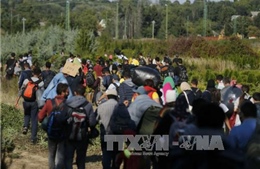 Đức cảnh báo 30% người di cư giả mạo công dân Syria